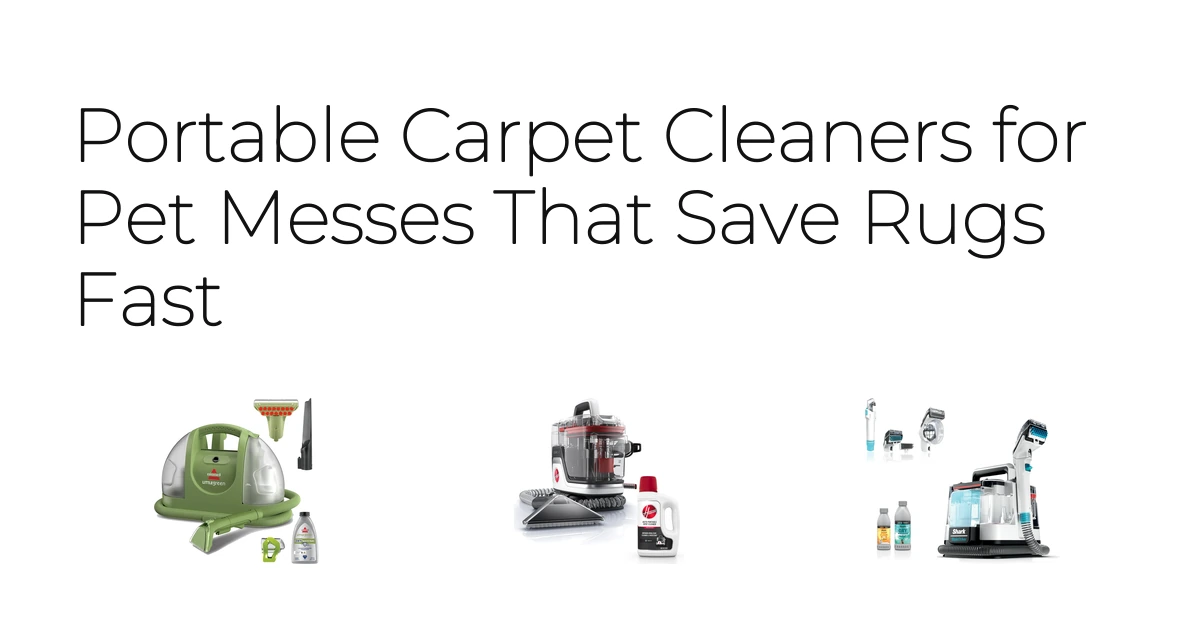 Portable Carpet Cleaners for Pet Messes That Save Rugs Fast